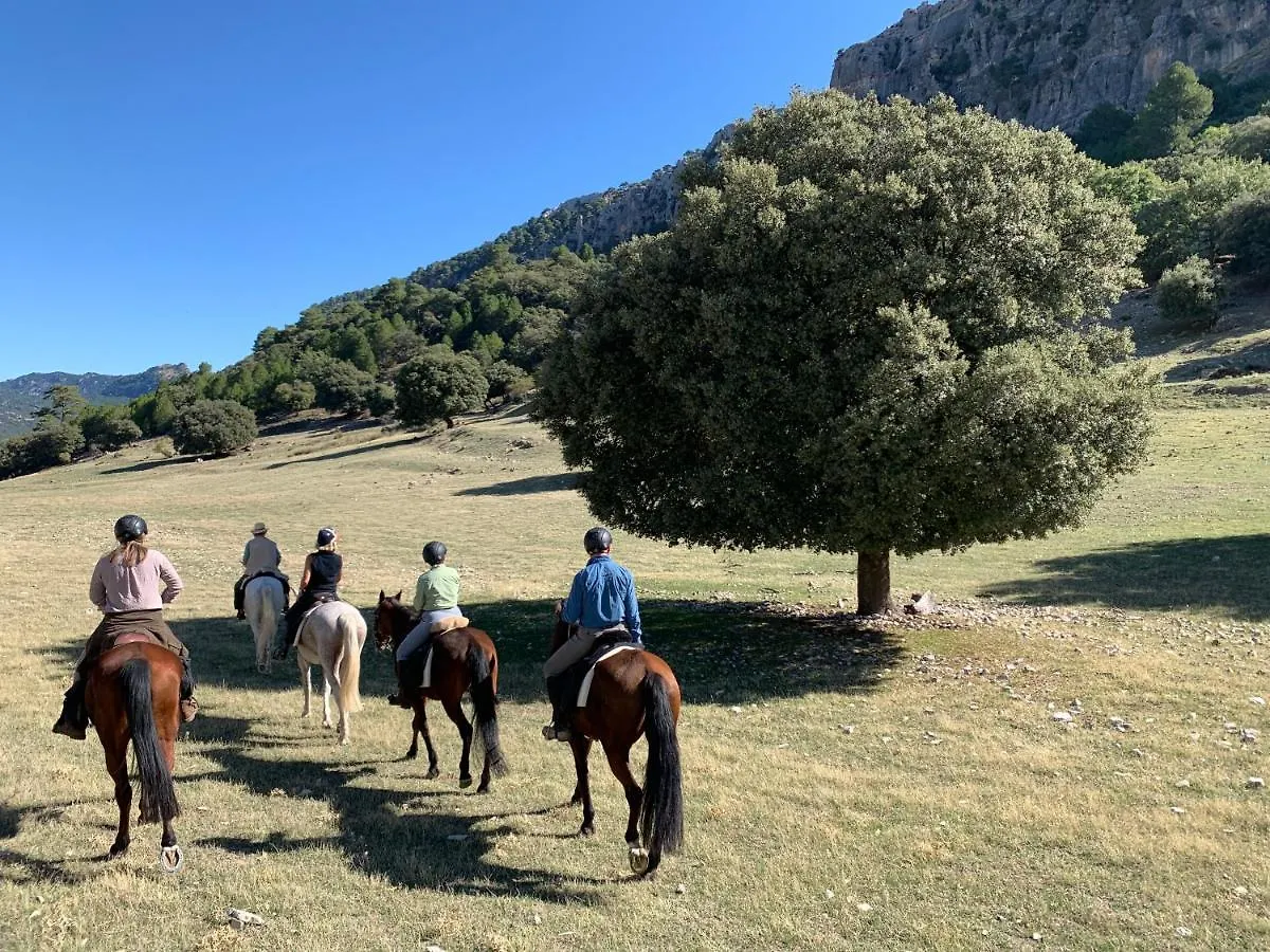 Hotel Rural Dehesa Del Rincon Pozo Alcon 3*,